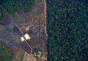 Aerial picture showing a deforested piece of land in the Amazon rainforest near an area affected by fires, about 65 km from Porto Velho, in the state of Rondonia, in northern Brazil, on August 23, 2019. - Bolsonaro said Friday he is considering deploying