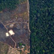 Deforestation of the Amazon increased every year which Jair Bolsonaro was in power in Brazil