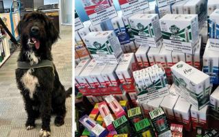 Boo the dog and some of the illegal vape products seized by police