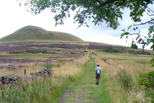 The Lomond Loop, looking up to Falkland Hill