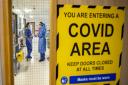 Covid-19 death rate after positive test plummets since pandemic peak