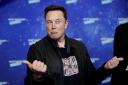 Elon Musk to quit as Twitter chief if he finds someone ‘foolish enough’ to take job