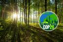 Over 100 leaders pledge to protect forests in first COP26 pledge