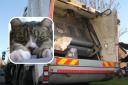 Refuse collectors saw the frightened animal escaping from a bin lorry