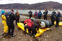 British Divers Marine Life Rescue (BDMLR) are to host a course in how to rescue whale, dolphins and seals