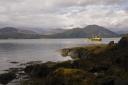 Internationally important reefs around Loch Creran have been harmed by pesticides used in Salmon farming