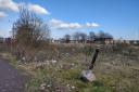 The Register of Vacant and Derelict Land is voluntary and fails to include much unkempt public open space