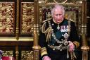 The UK Government announced plans to spend £8 million hanging portraits of the King in public buildings