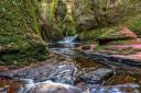 Devil's Pulpit and Finnich Glen has been named Scotland's been named Scotland's best walking trail
