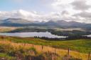 A view over Glengarry and Ardochy Forest from the A87. Photo by Tim Rüßmann on Unsplash