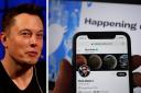 Elon Musk is allowing anyone to buy a verified 'blue tick' on Twitter as part of a subscription service