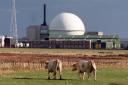 High numbers of 'harmful' radioactive particles have been found on the Dounreay shoreline and Sandside beach