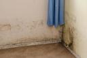 Mould in home