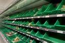 Empty shelves have become more of a common sight in British supermarkets since Brexit