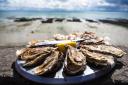 Local oysters were among the Skye produce listed by Lonely Planet
