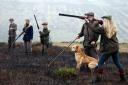 Members of a shooting party mark the Glorious Twelfth, the annual start of the grouse shooting