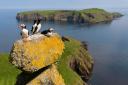 There is particular concern for Scotland's internationally important seabird populations