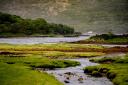 Rivers and meadows near Isleornsay on the island of Skye