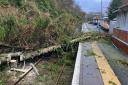 A fallen tree on the line at Arrochar and Tarbet after Storm Isha hit Scotland