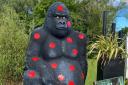 Gary the Gorilla was stolen from a garden centre in Lanarkshire last year