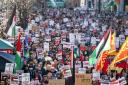 Thousands have taken to the streets in the past few months in pro-Palestine protests