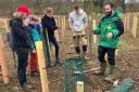 The Silk Wood Community Planting Project aims to combat the loss of trees after a mass tree felling in 2021