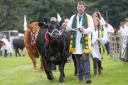 Border Union Show 2024. Photo: Brian Sutherland