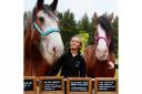 Blackstone Farm is a former dairy farm in Cumnock that is now home to 34 of Scotland’s most iconic horse breed, the Clydesdale.