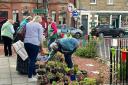 The annual Autumn plant sale is set to take place in North Berwick