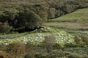 Farmers invited to join climate programme led by Loch Lomond National Park