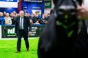 Judge Iain McLean as he has a final walk round before tapping out his super heifer champion at AgriScot