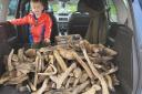 Luke Allan with a supply of driftwood which he turned into sculptures