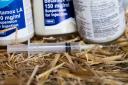 Antibiotic use in livestock reaches a decade-low, with continued efforts to combat antimicrobial resistance Ref:RH130224015  Rob Haining / The Scottish Farmer