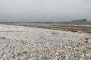 There was some early snowfall in North Berwick this morning, with conditions bitterly cold