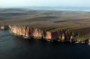RSPB welcomes new Orkney protection sites for vulnerable seabirds