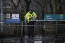 A 59-year-old woman is missing after reports of two people getting into trouble in the River Kelvin