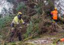 Photo issued by Scottish and Southern Electricity Networks of its teams working to reconnect the remaining homes still off supply after damage caused by Storm Arwen