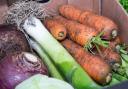 Reducing plastic waste is one of the many benefits of growing vegetables in an allotment