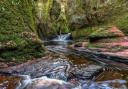 Devil's Pulpit and Finnich Glen has been named Scotland's been named Scotland's best walking trail