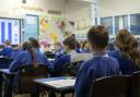 Primary school children will be taught about brain health