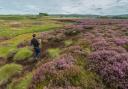Scotland has its first academic peatland restoriation course