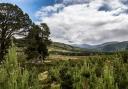 Cairngorms National Park could reach net zero in three years, a report has said