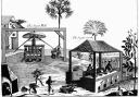 Slave labour on a sugar plantation in the West Indies
