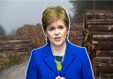 Nicola Sturgeon announced she will stand aside as Scotland's First Minister