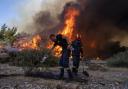 A firefighter uses a bottle to drop water over a burnt plant as the flames approach in Vati village, on the island of Rhodes