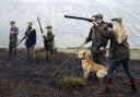 Members of a shooting party mark the start of the grouse shooting season on an estate in the Angus Glens