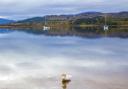 Loch Morlich is a famed beauty spot in the Cairngorms but Highland Council says traffic management is a 'challenge'