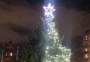 Half of Parliament's Christmas tree lights initially failed to switch on