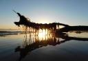 A senior engineer told Moray Council that removing driftwood has a detrimental impact