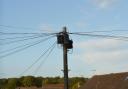 A view of BT cables and switch boxes on a telegraph pole in Billericay, Essex. Telecoms companies in the UK are replacing the technology they use to provide fixed telephone networks (landlines). For most customers, the upgrade is expected to be complete